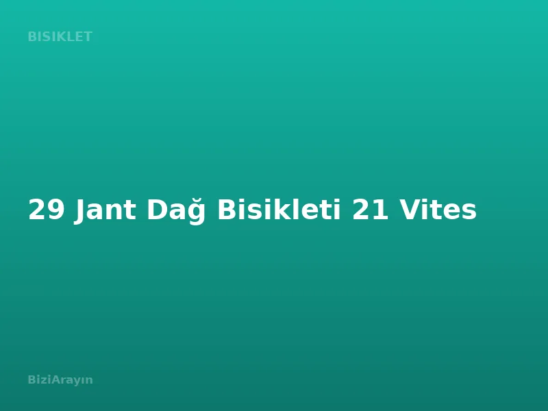29 Jant Dağ Bisikleti 21 Vites